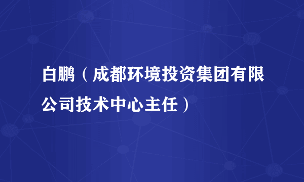 白鹏（成都环境投资集团有限公司技术中心主任）