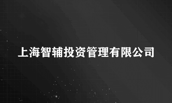 上海智辅投资管理有限公司