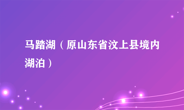 马踏湖（原山东省汶上县境内湖泊）
