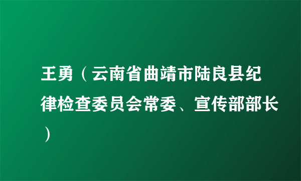 王勇（云南省曲靖市陆良县纪律检查委员会常委、宣传部部长）