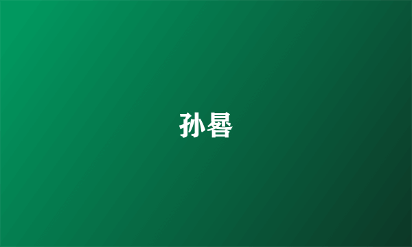 孙晷
