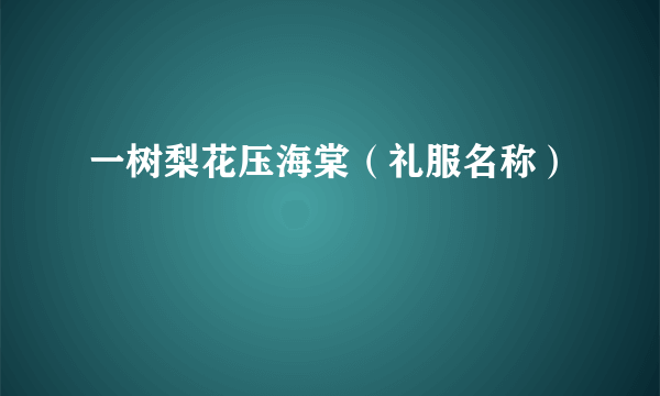 一树梨花压海棠（礼服名称）