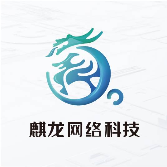 广州麒龙网络科技有限公司