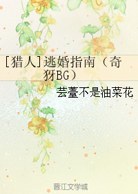 [猎人]逃婚指南（奇犽BG）