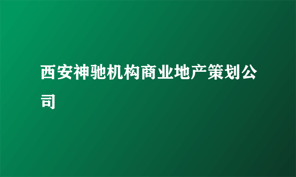 西安神驰机构商业地产策划公司