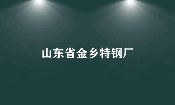 山东省金乡特钢厂