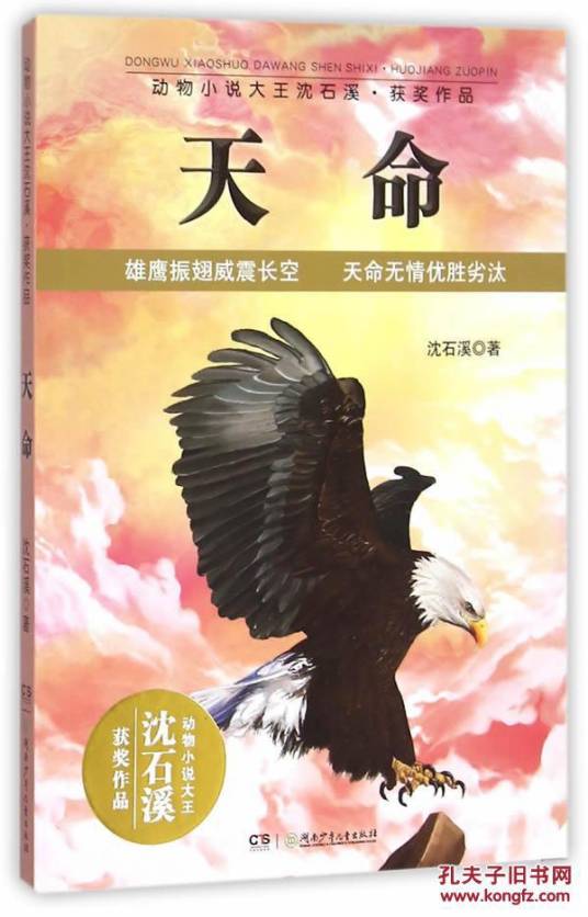 天命（短刃著小说）