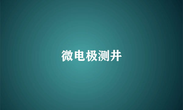 微电极测井