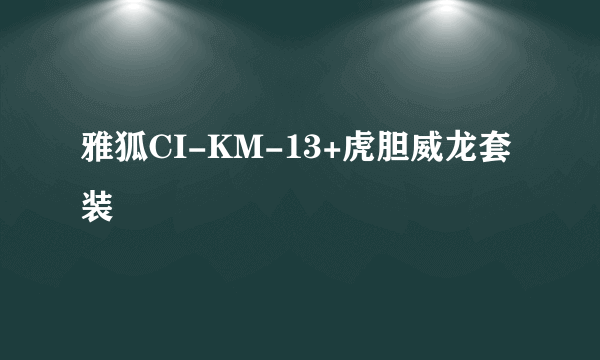 雅狐CI-KM-13+虎胆威龙套装