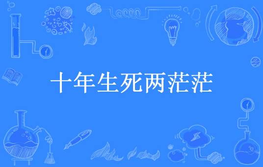 十年生死两茫茫（林未央所著小说）