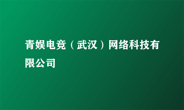 青娱电竞（武汉）网络科技有限公司