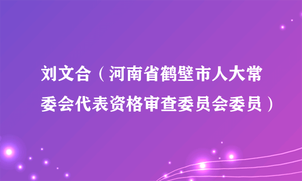 刘文合（河南省鹤壁市人大常委会代表资格审查委员会委员）
