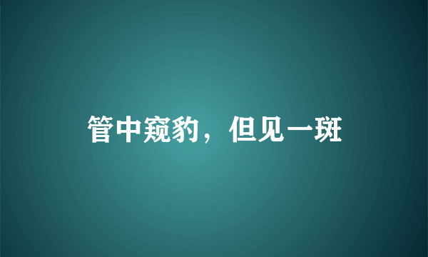 管中窥豹，但见一斑