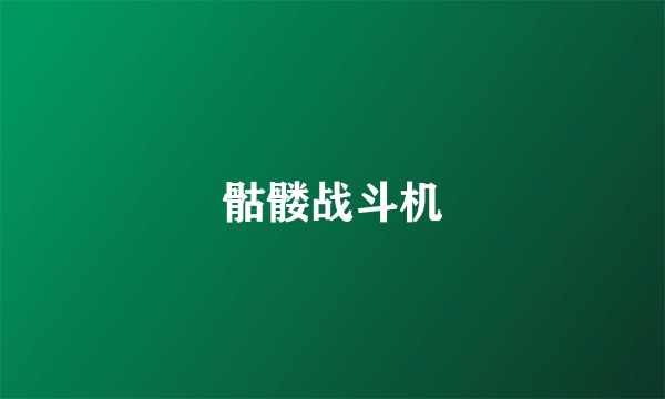 骷髅战斗机