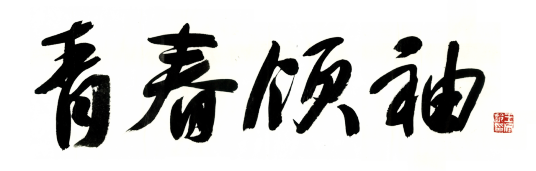 青春领袖