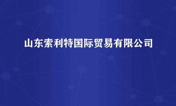 山东索利特国际贸易有限公司