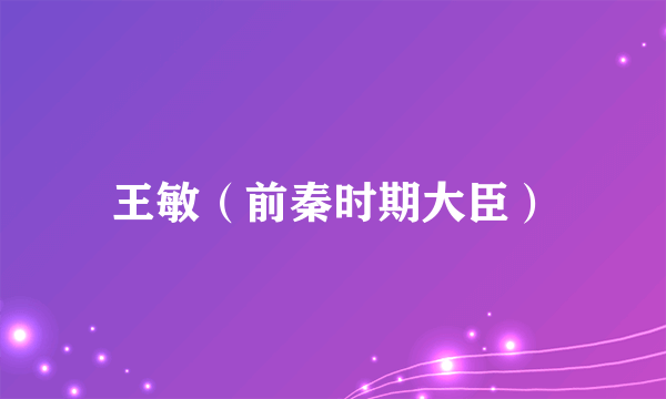 王敏（前秦时期大臣）