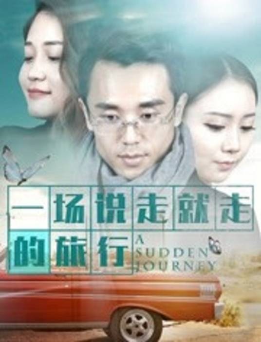 一场说走就走的旅行（牛戈执导的电影）