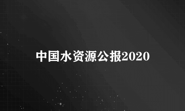 中国水资源公报2020
