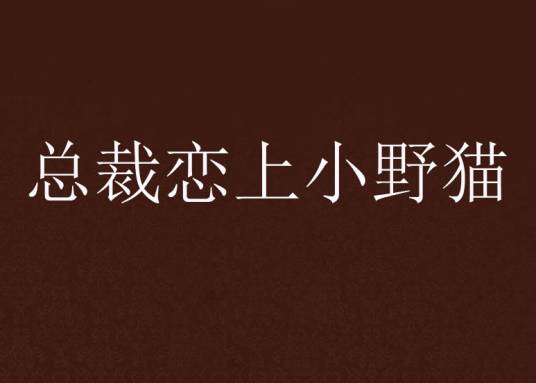 总裁恋上小野猫