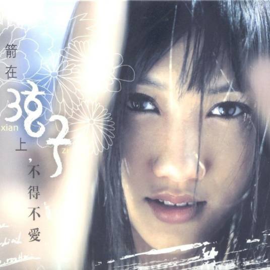 弦子（2006年弦子发行的音乐专辑）