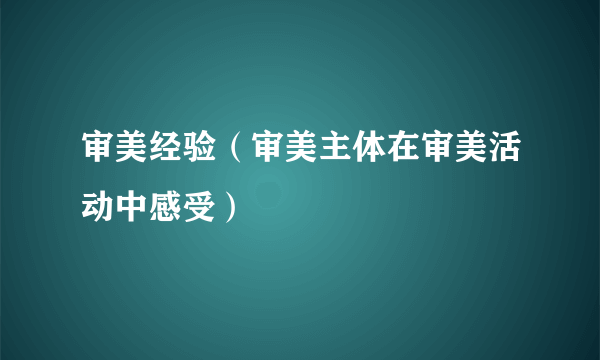 审美经验（审美主体在审美活动中感受）