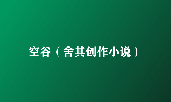 空谷（舍其创作小说）