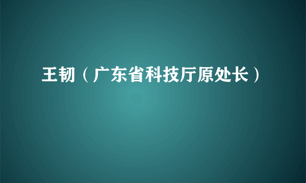 王韧（广东省科技厅原处长）