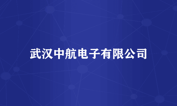 武汉中航电子有限公司