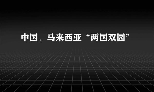 中国、马来西亚“两国双园”