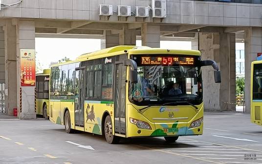海口公交59路