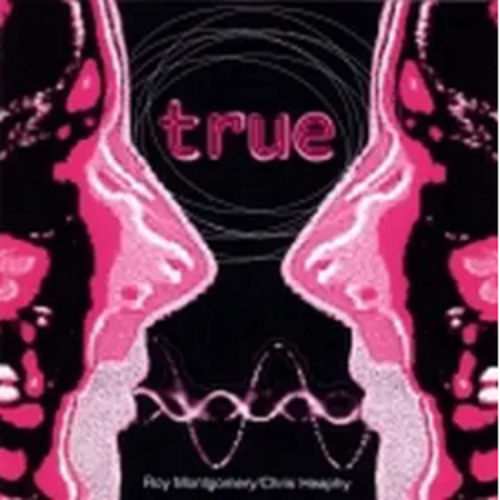 Spurious（1998年Chris Heaphy演唱的歌曲）