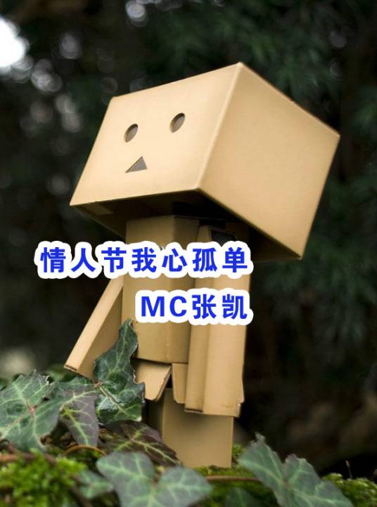 情人节我心孤单