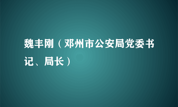 魏丰刚（邓州市公安局党委书记、局长）