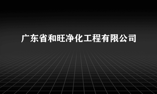 广东省和旺净化工程有限公司