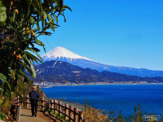 清水市（日本静冈县下辖市）