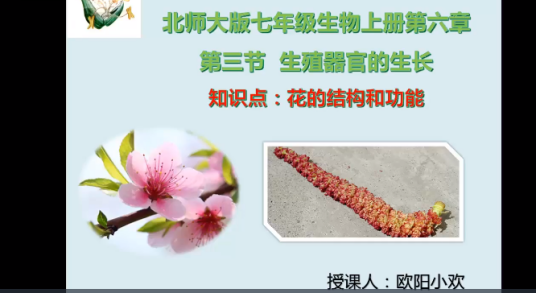 花的结构和功能