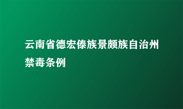 云南省德宏傣族景颇族自治州禁毒条例