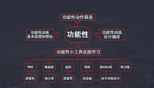 功能性训练（是一种教你如何使用力量的训练）