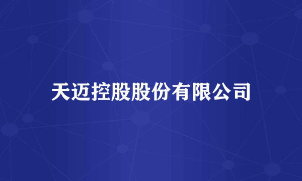 天迈控股股份有限公司