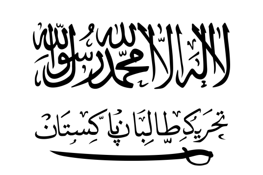 巴基斯坦塔利班