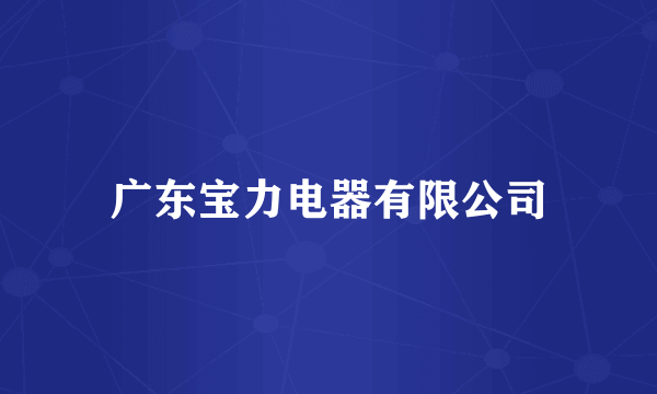 广东宝力电器有限公司