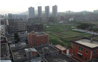 陈村社区（福建泉州晋江市青阳街道陈村社区）