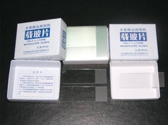 多聚赖氨酸载玻片