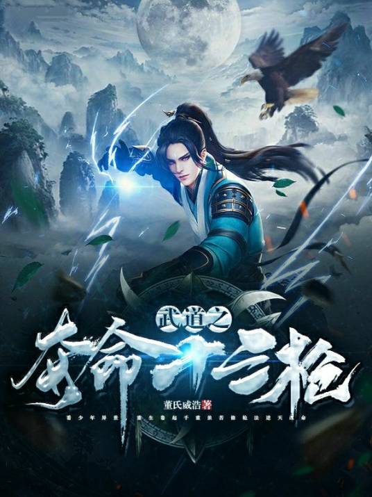 武道之夺命十三枪