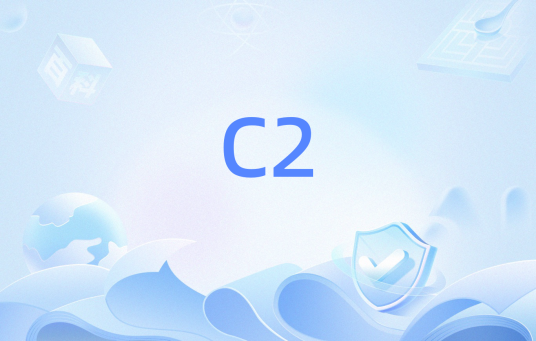 C2（网络参数）
