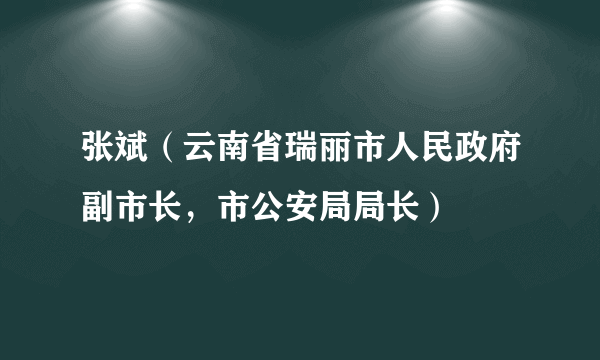 张斌（云南省瑞丽市人民政府副市长，市公安局局长）