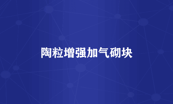 陶粒增强加气砌块