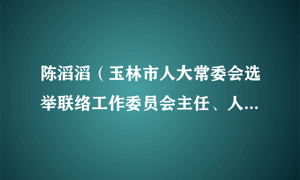 陈滔滔（玉林市人大常委会选举联络工作委员会主任、人大社会建设委员会副主任委员）