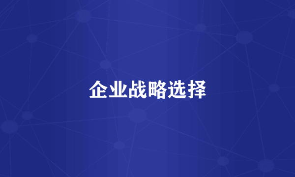 企业战略选择